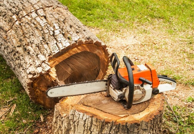 Tree Cutting Service