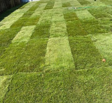 WhatsApp Image 2023-01-23 at 3.55.32 PM (1)