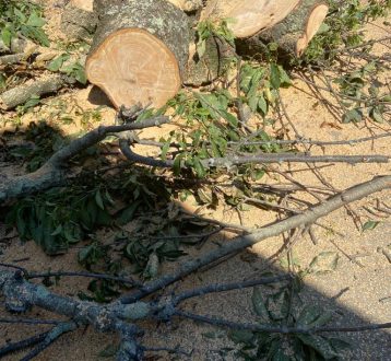 WhatsApp Image 2023-01-23 at 3.55.32 PM (2)