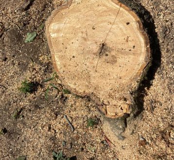 WhatsApp Image 2023-01-23 at 3.55.32 PM (3)